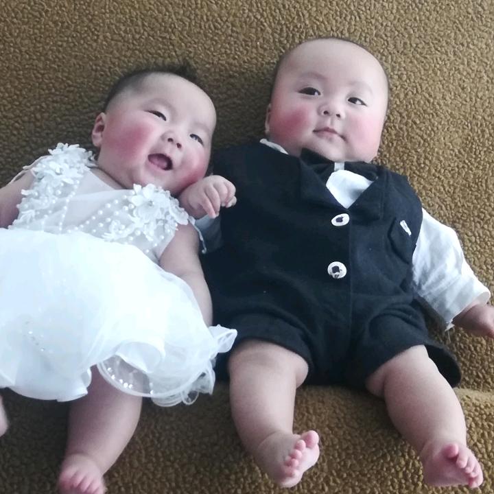 小燕子（互关）