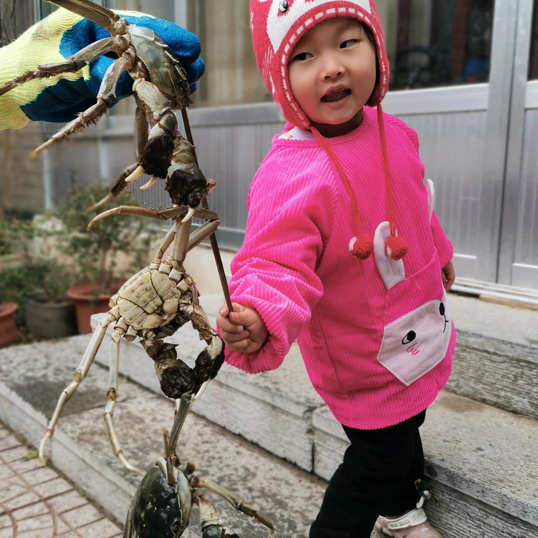 青州红果花卉