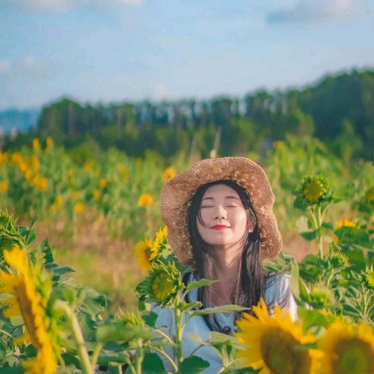 飞旗大碗肉~燕子