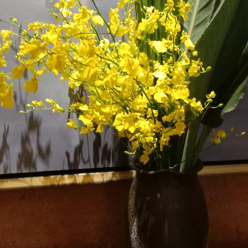 生死不弃75......1......