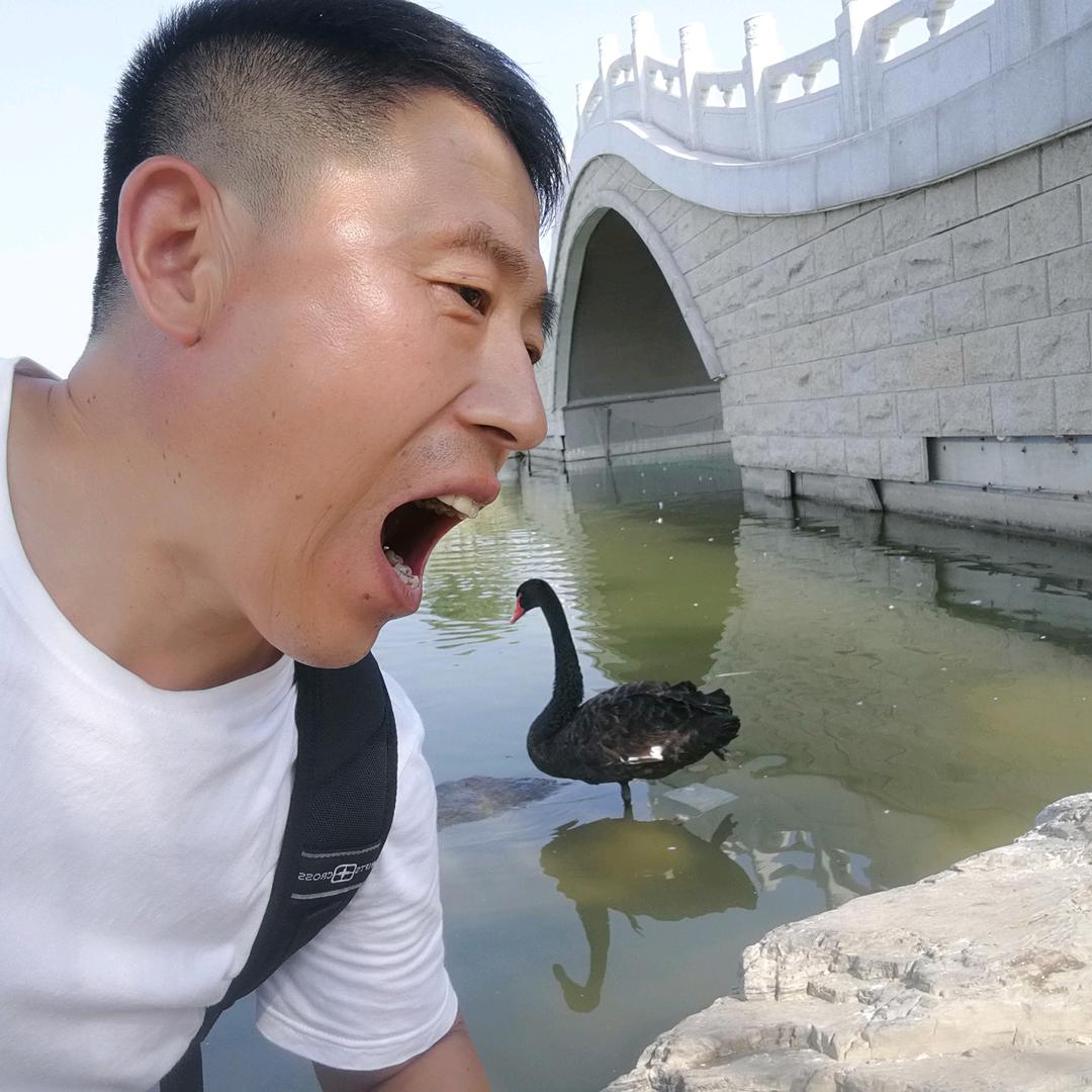 大傻子