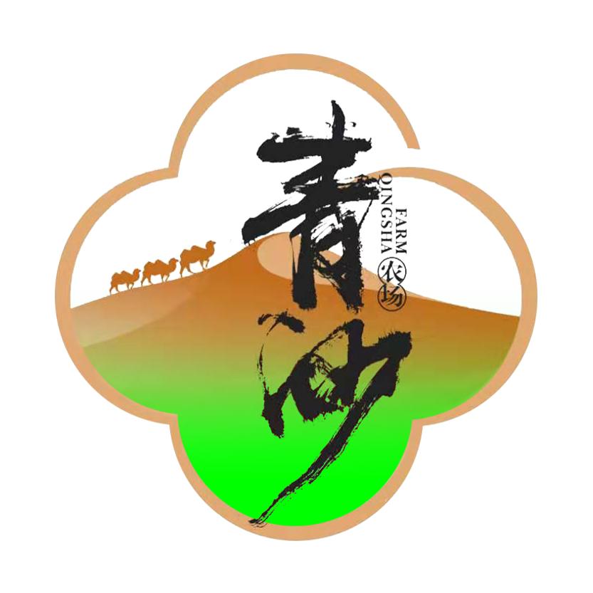 甘肃小马哥