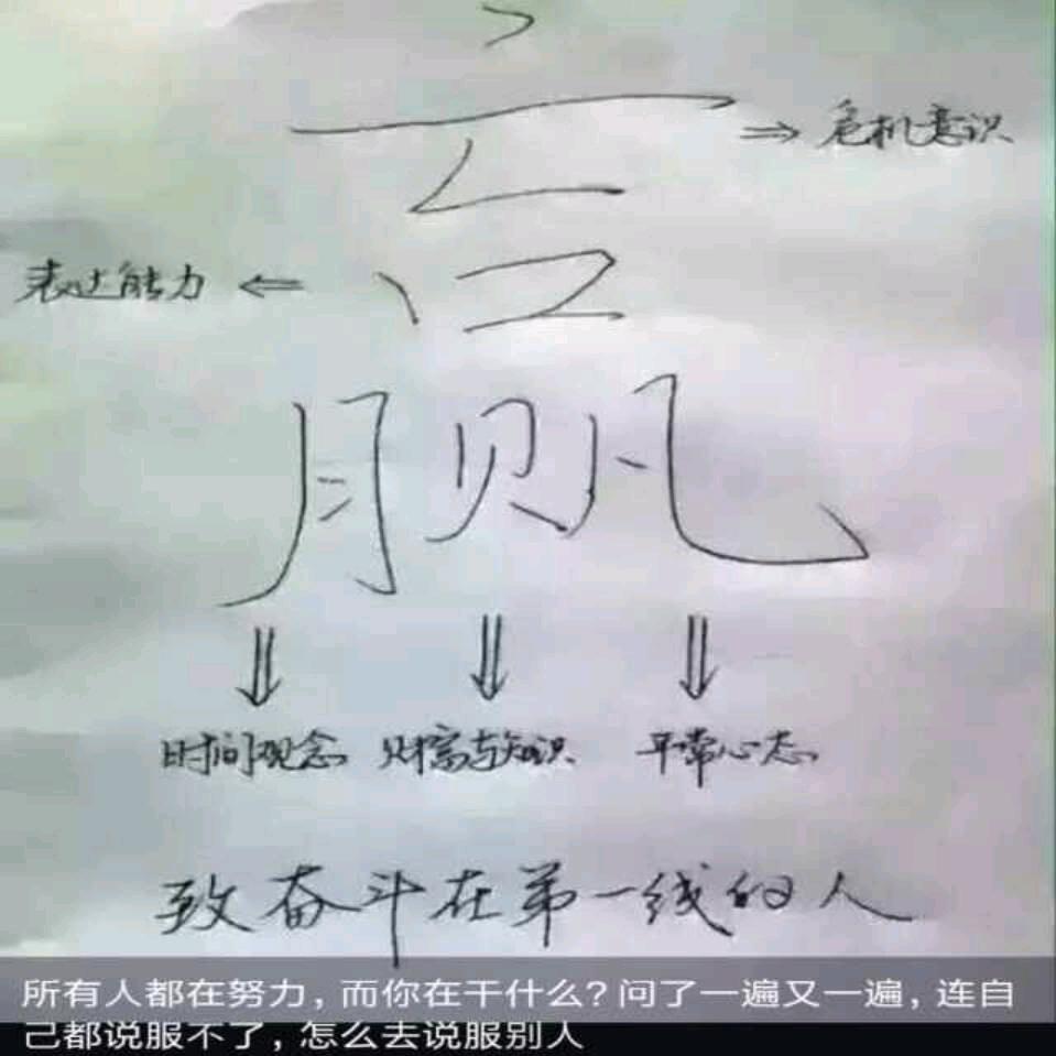 鸽禽臻选阁