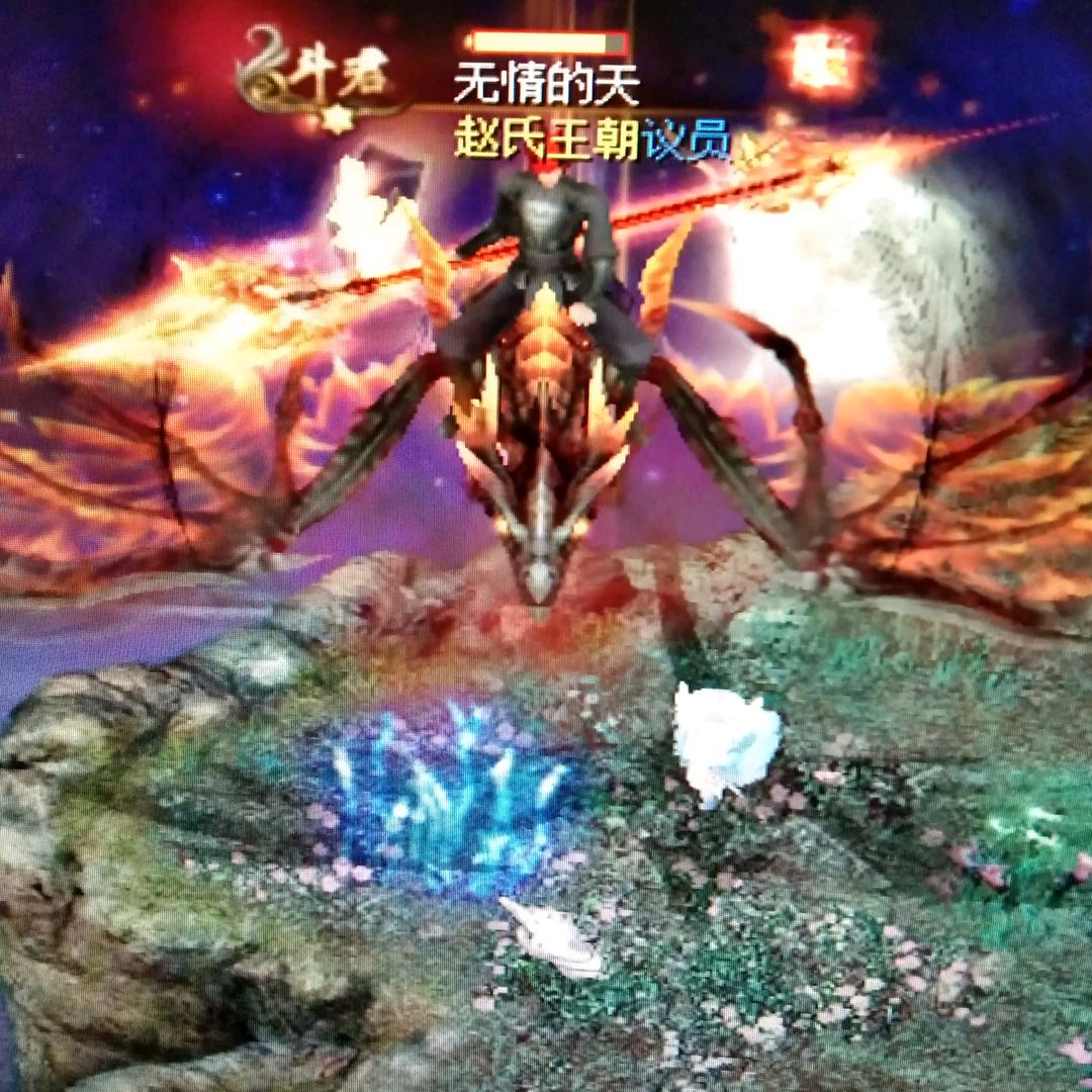 小猪哥520