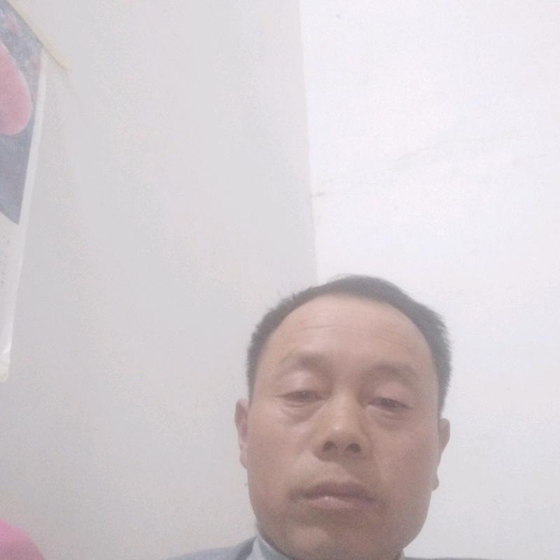 河南瓦工