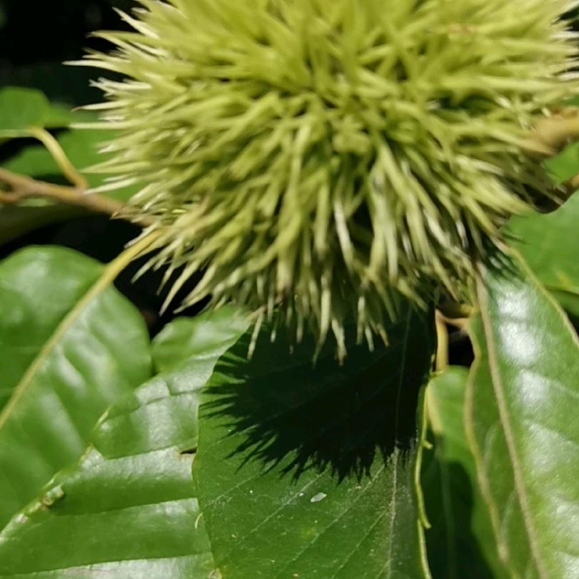 百货你娄姐（百货）F