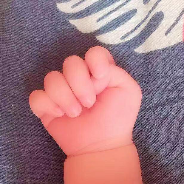 陶先生