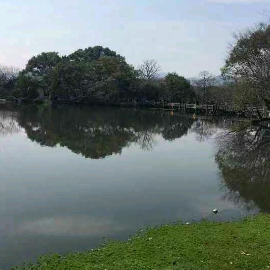 河北盛禾轮胎 车轮 车桥配套(吴仁磊)