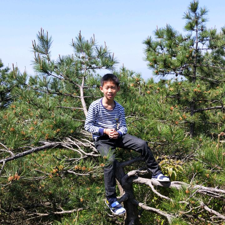 🌹꒰ঌ(˚ᆺ˚)໒꒱古岛睛空520💖