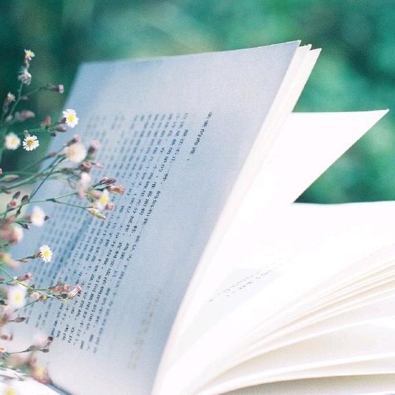 @ℳ别动情ꦿꦿ会伤꧔ꦿ