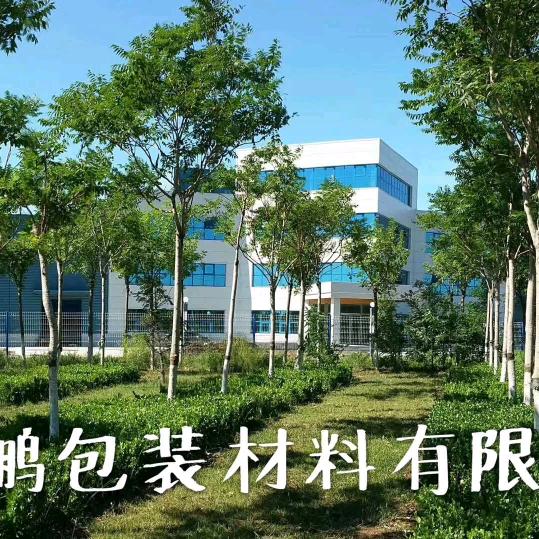 天津鲲鹏包装