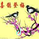 张店吉祥鸟婚庆服务部