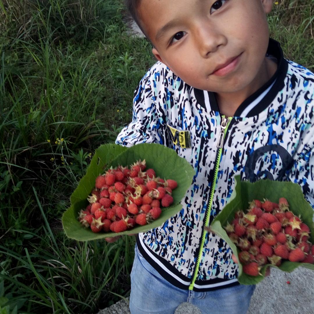 不是不想念、只是看不见