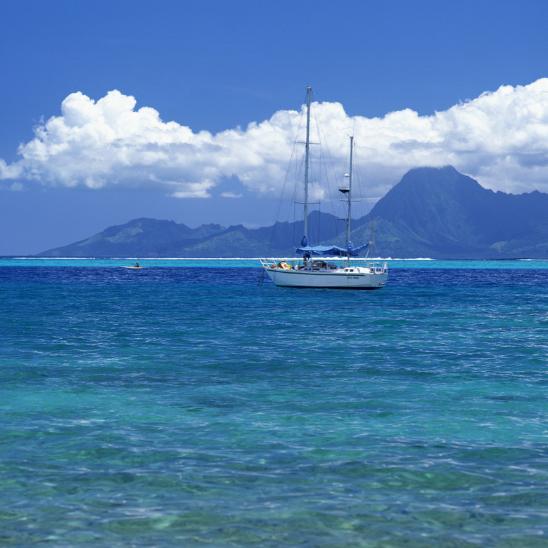 海岸