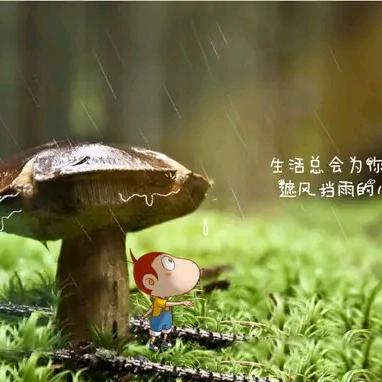 向昨天说再见