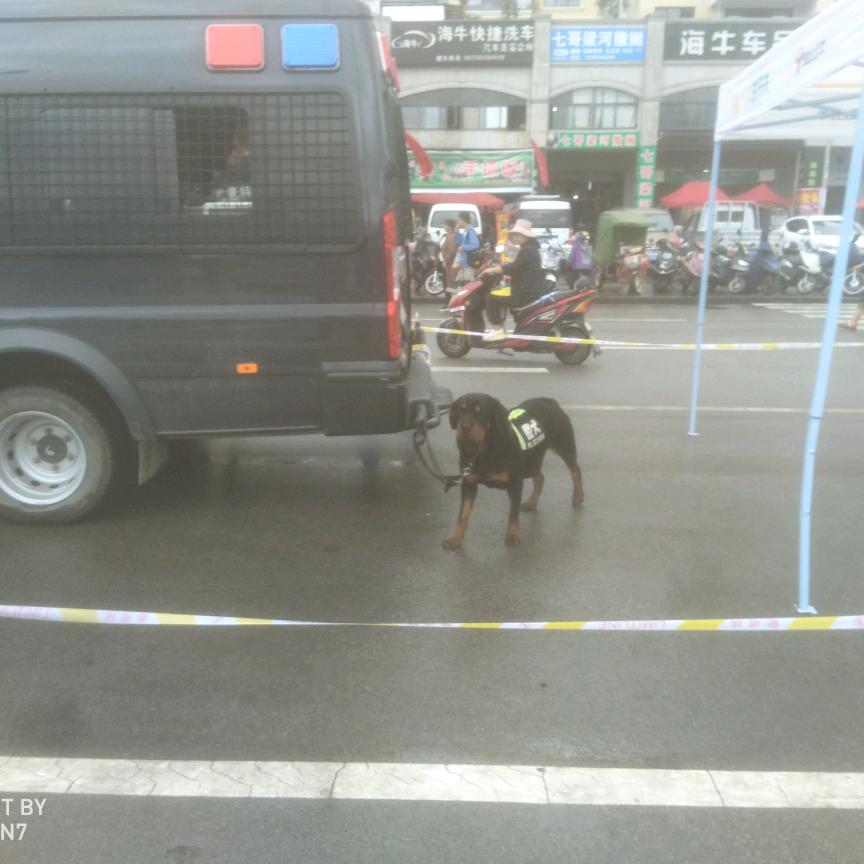 春江花月夜，寿比南山′长