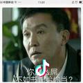 紫戾