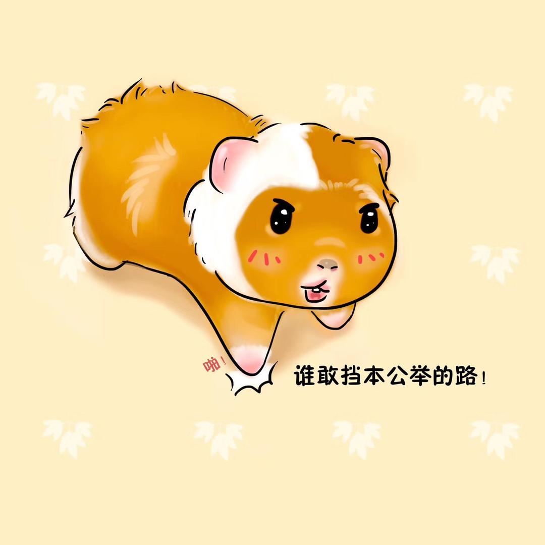 🔥大白