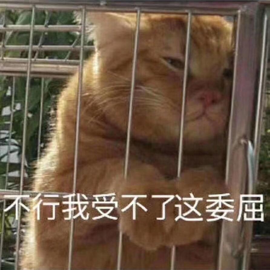 率土之滨小新崽（接开荒控号）