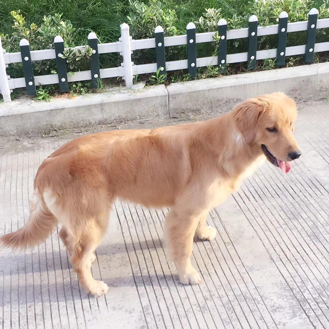 张☀️