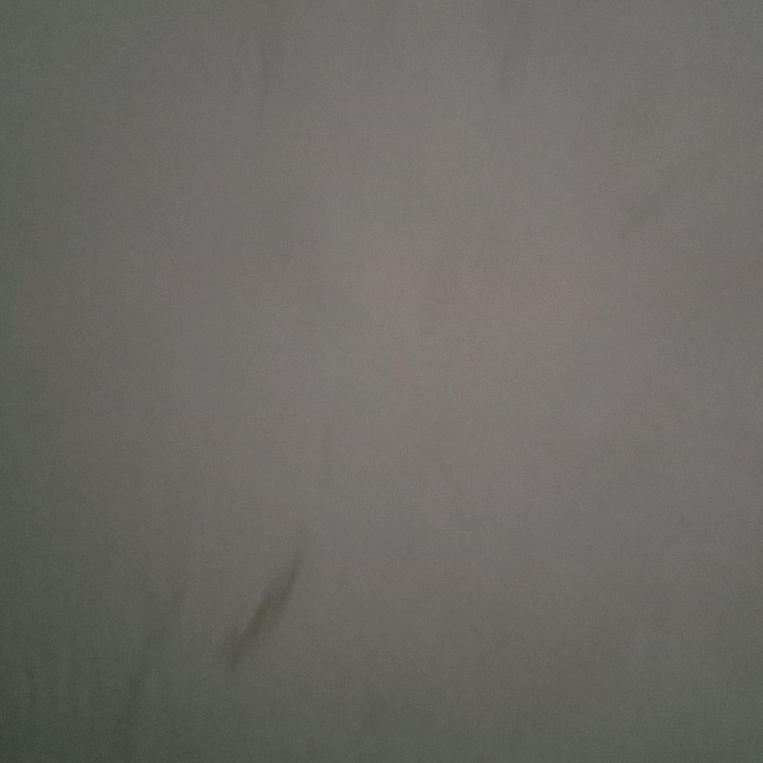 飞龙