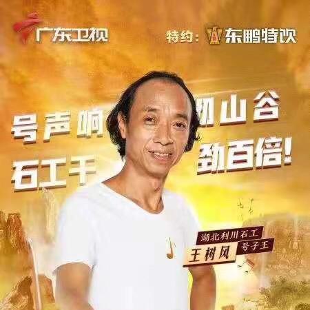 风哥哥哥哥