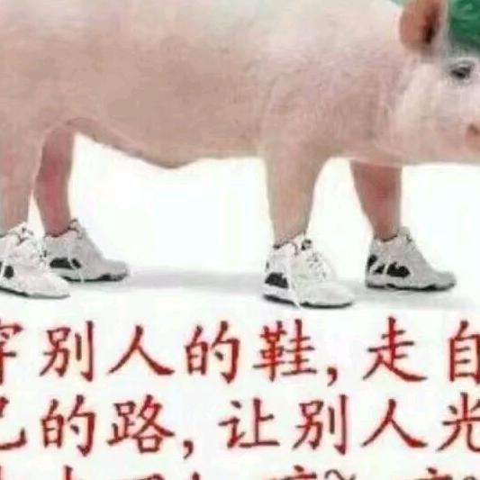 画舫