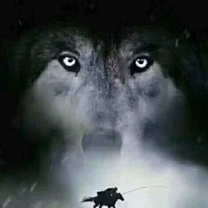 重生我本善良！！！