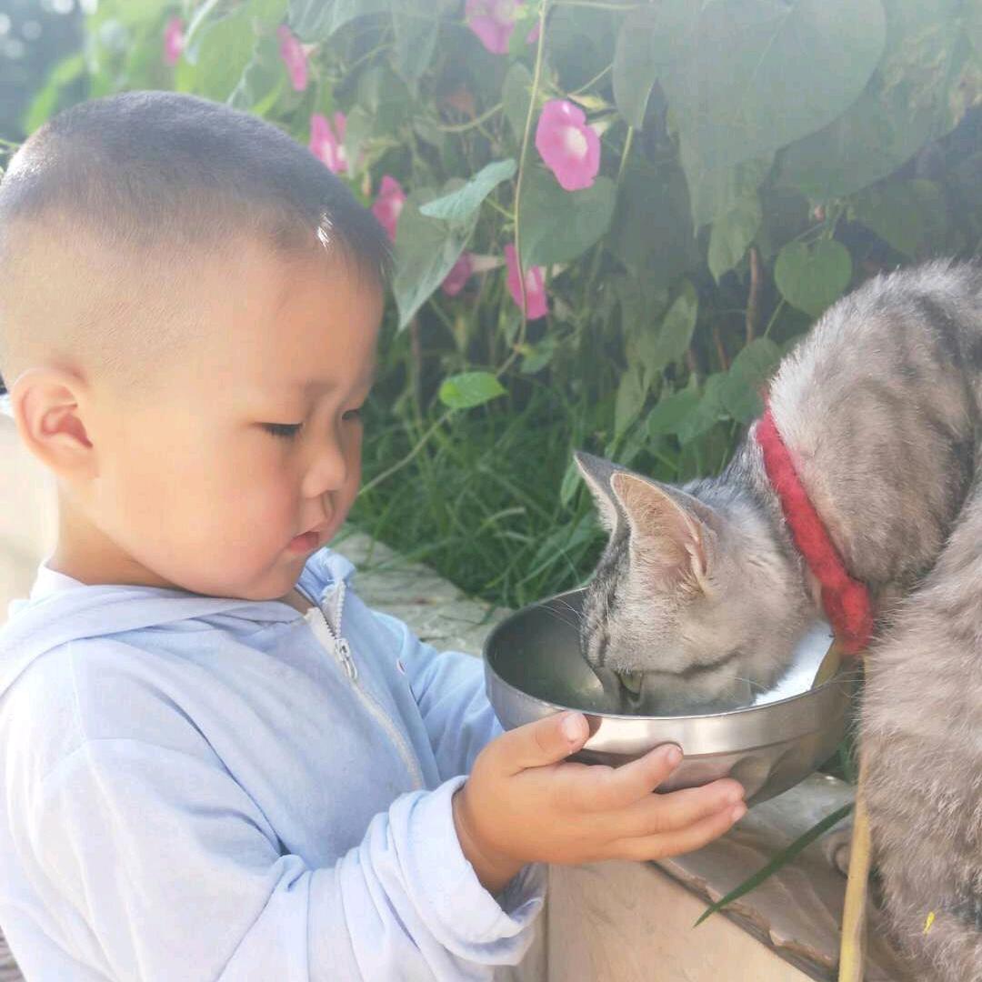 阳光。