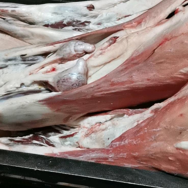 姚凯羊副产品白条羊