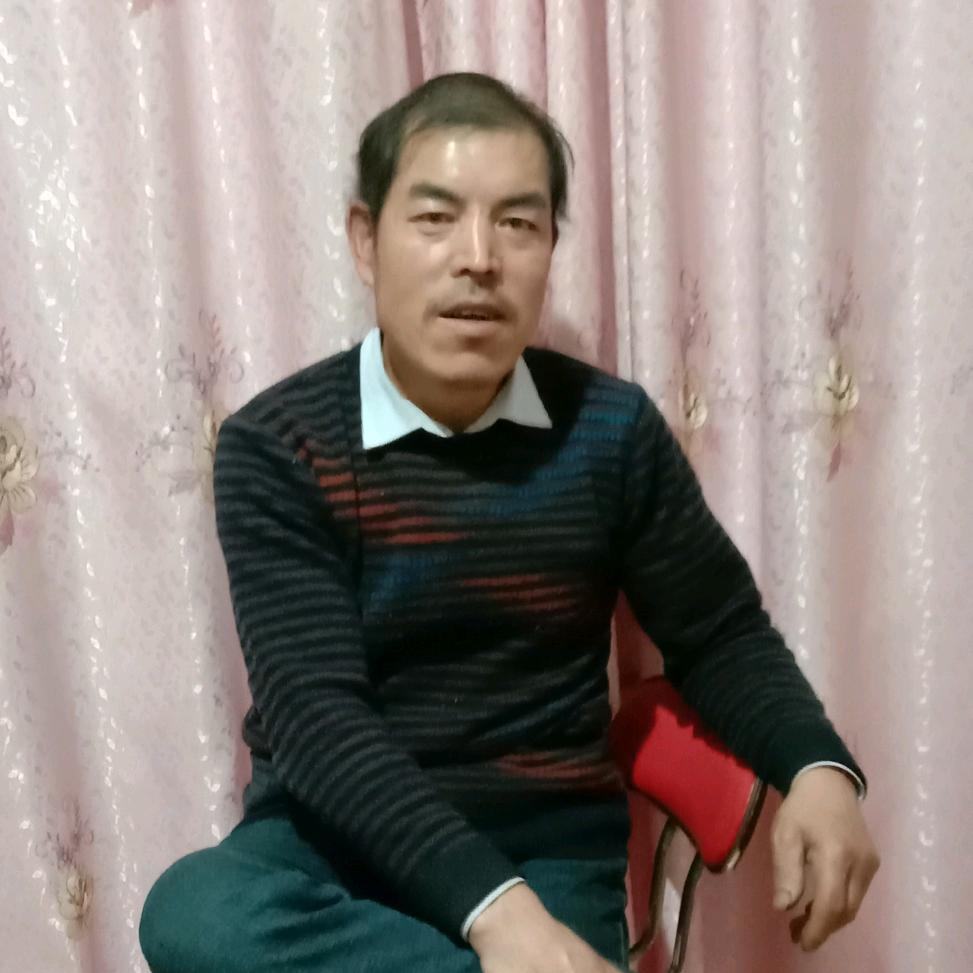 陇原树歌
