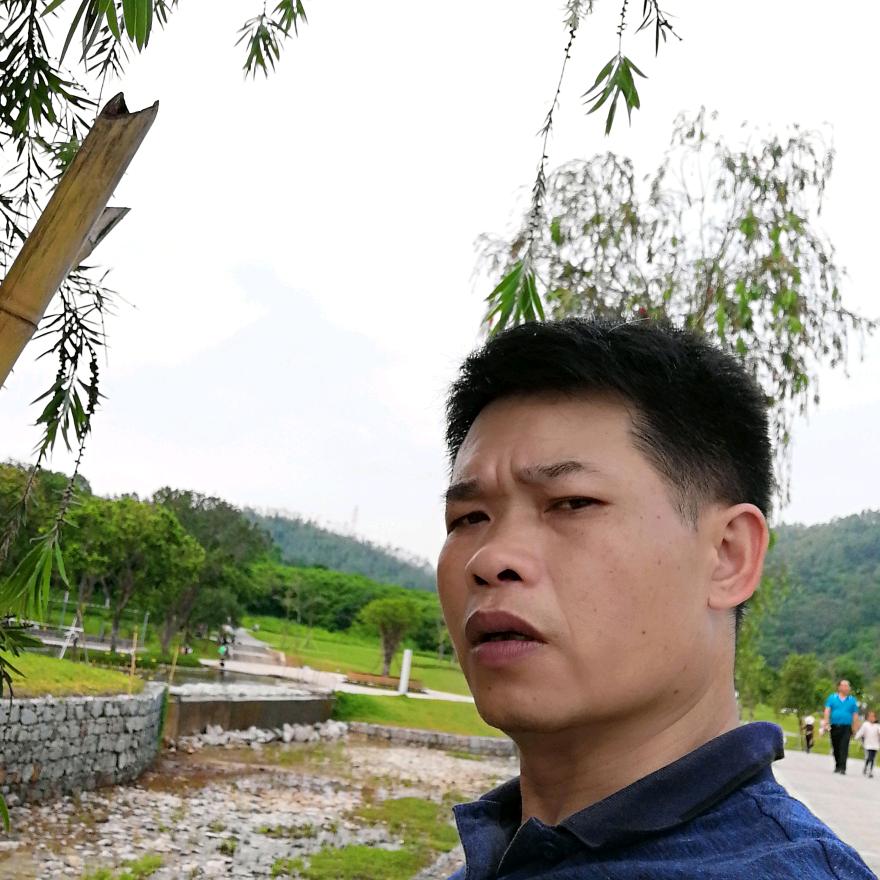 路边上狼