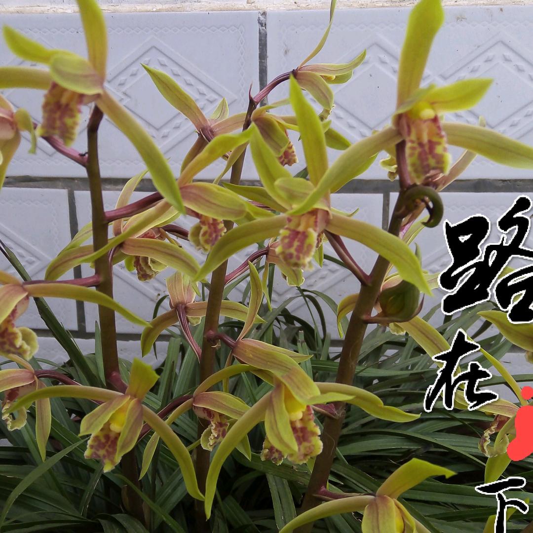 浉河远方
