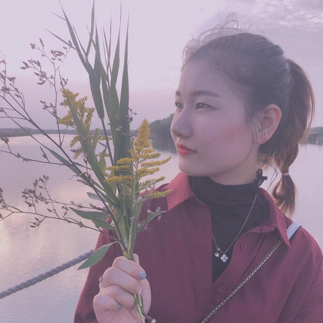 菜菜