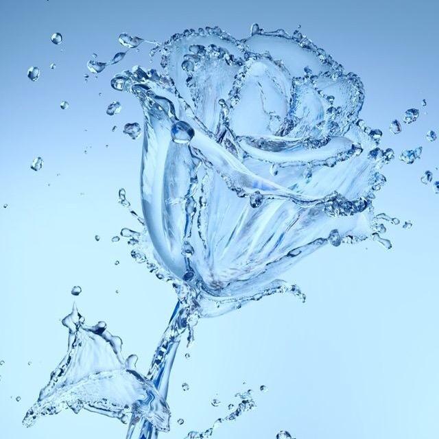 ✨༗࿆ ડꫝⅇꫛ ཉི࿐