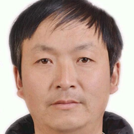 虎争天下