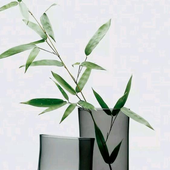 凉水一杯恭候茶