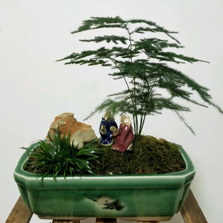 快乐者（手机拍摄）