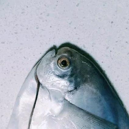 一二一