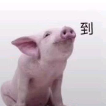 徒手撕大象