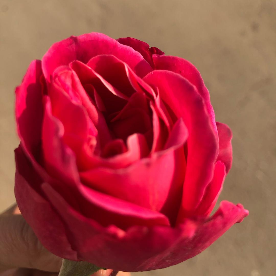 心比脸美@（眉山东坡区废品回收）