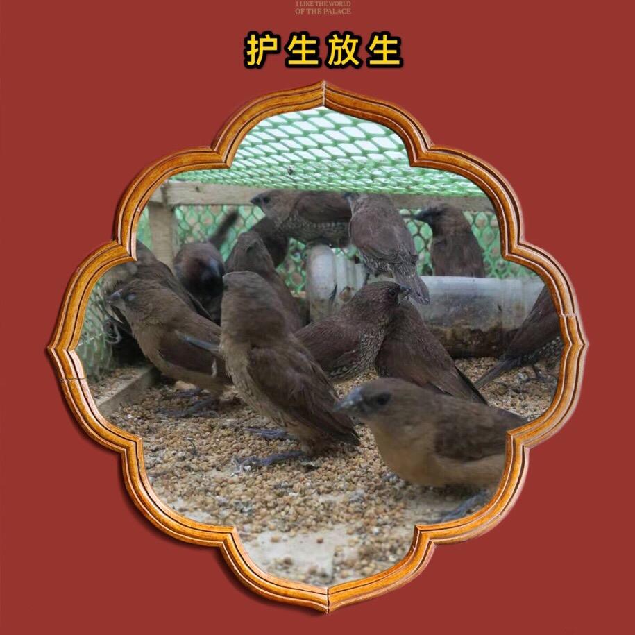 弘慈廣济