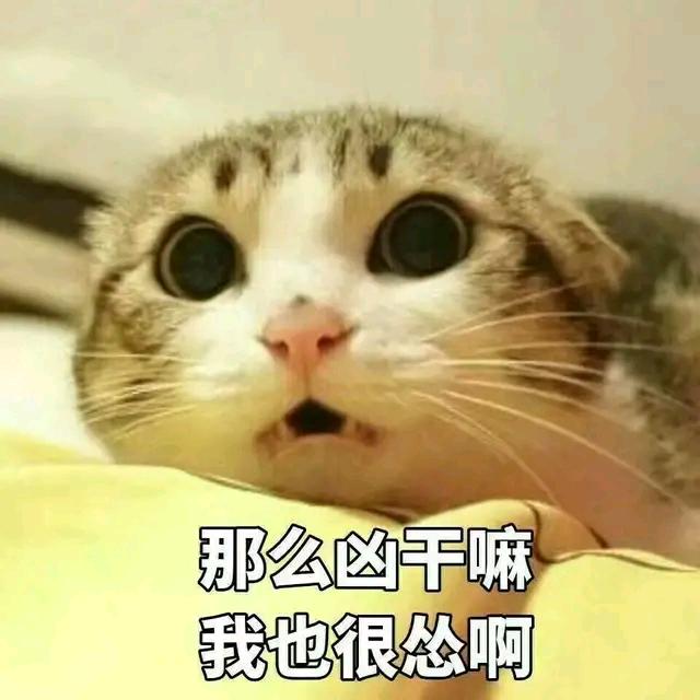 我们还小、