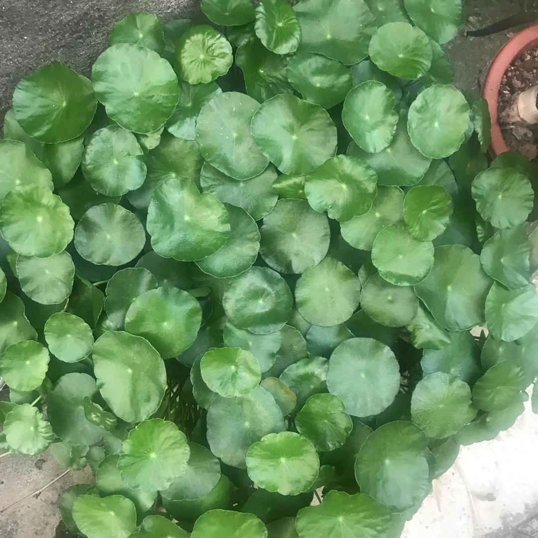 萍水相逢
