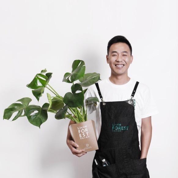 花加小森林直播间