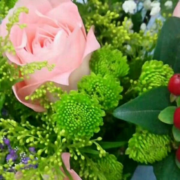 好房漆涂料加工坊