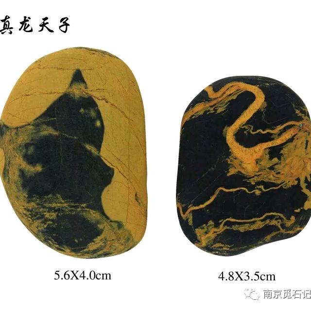 石德