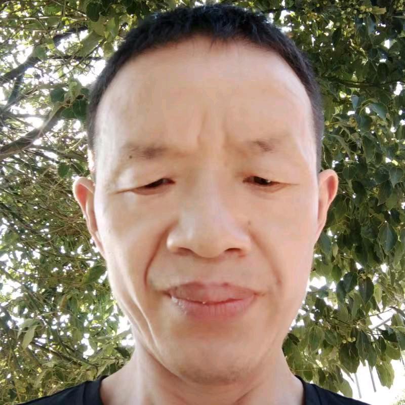 陈海林