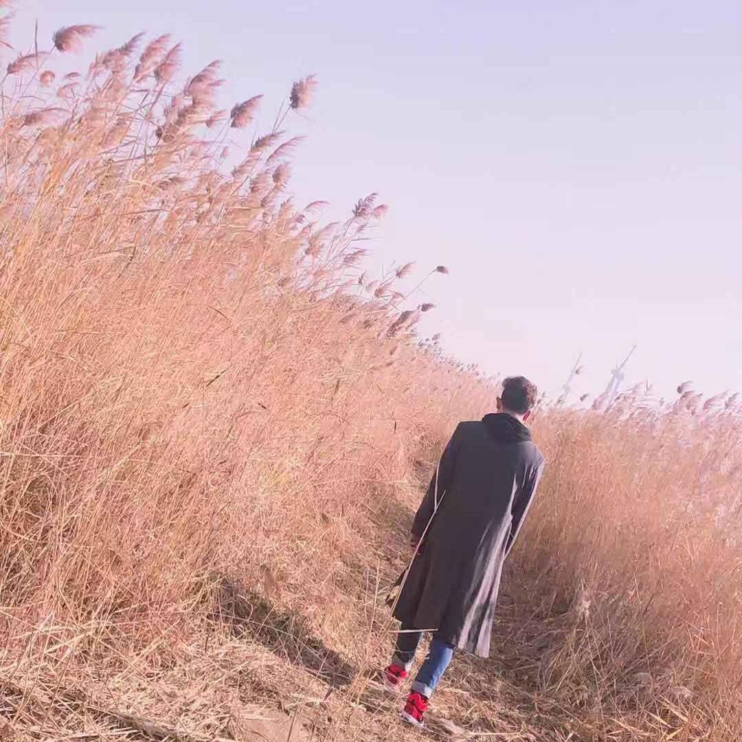 芦苇丛的小男孩儿