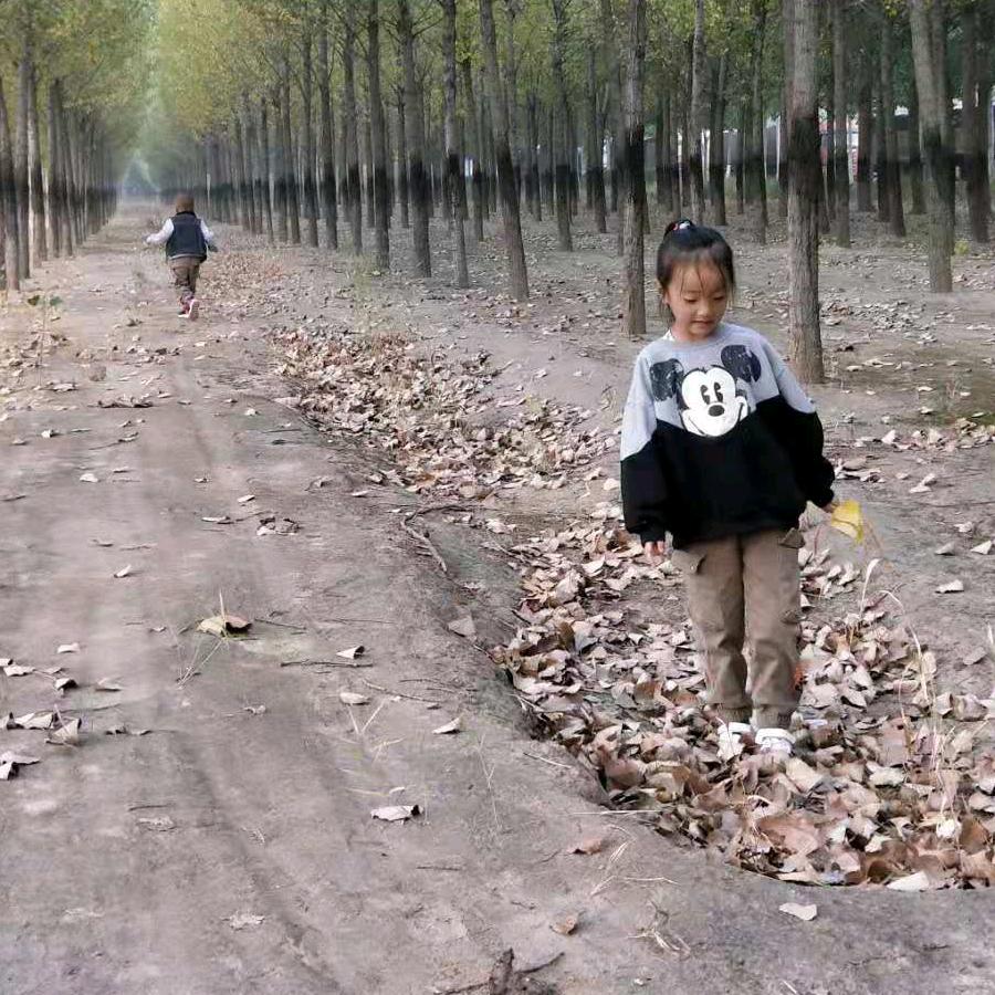🍁🍁